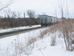 Dead deer between the tracks...